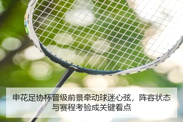 申花足协杯晋级前景牵动球迷心弦，阵容状态与赛程考验成关键看点